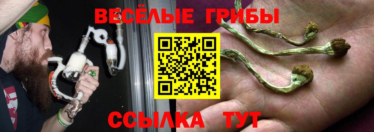 Сызрань  Псилоцибиновые грибы Psilocybine cubensis  Вход с VPN 